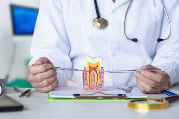 Best Emergency Dental Surgery in Goshen, AR